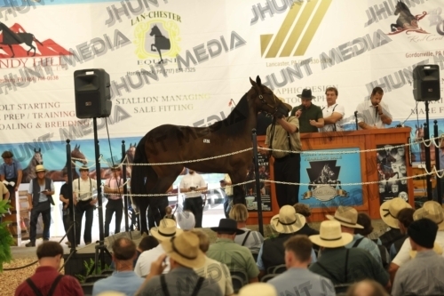 JHM_4749