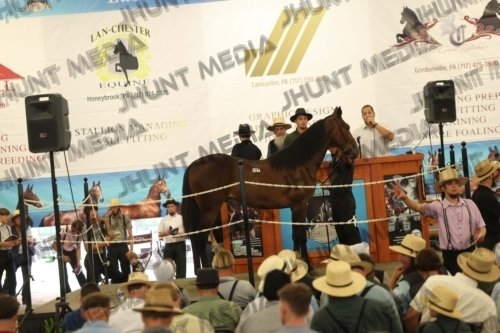 JHM_4782