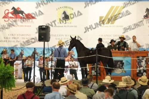 JHM_4795