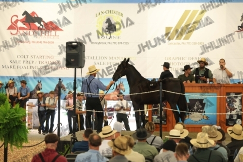 JHM_4796