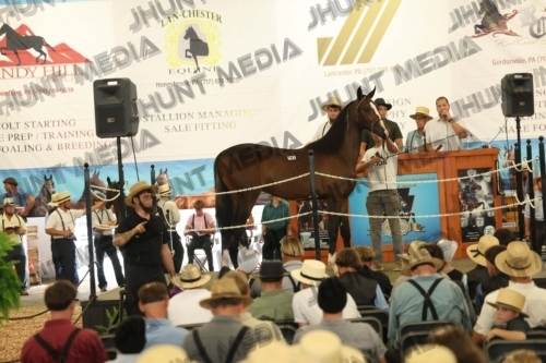 JHM_4875