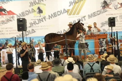 JHM_4877