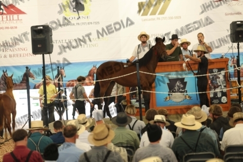 JHM_4980