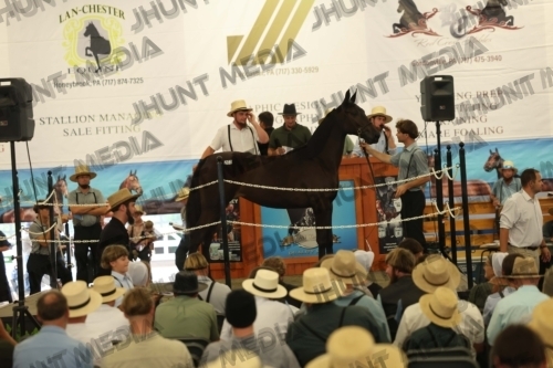 JHM_5039