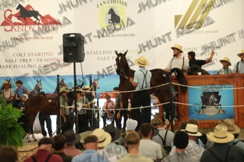 JHM_5110