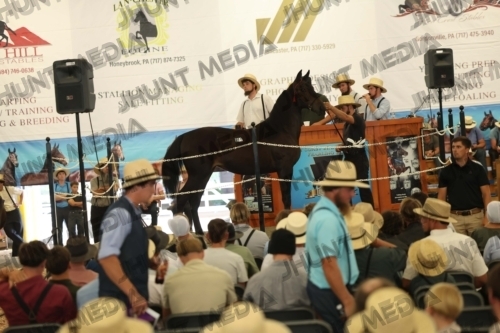 JHM_5163