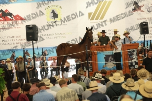 JHM_5175