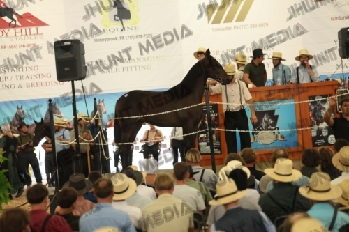 JHM_5205