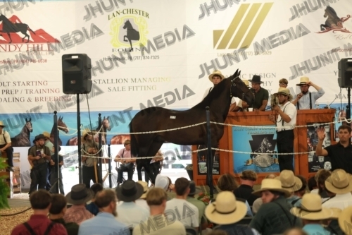 JHM_5248