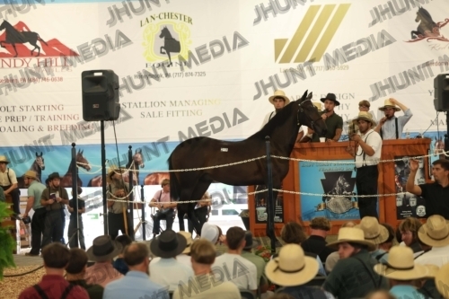 JHM_5249