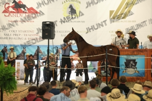 JHM_5284