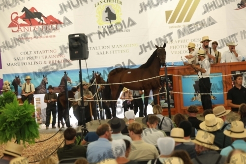 JHM_5300