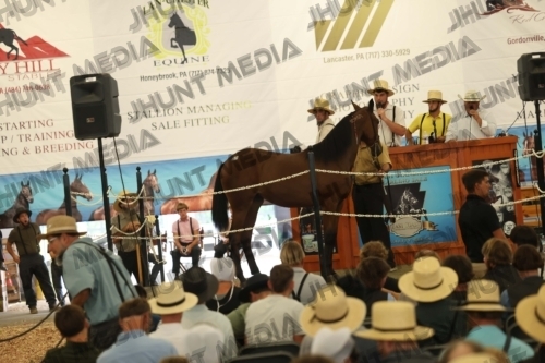 JHM_5335