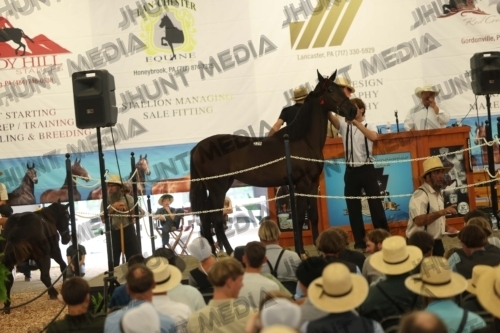 JHM_5403