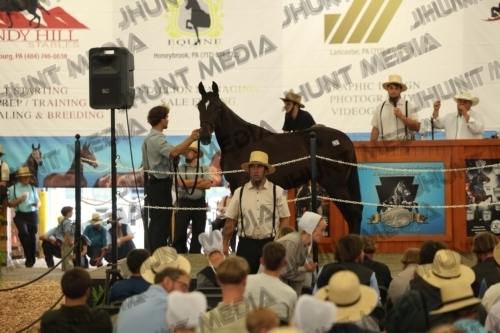 JHM_5433