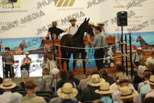JHM_5438