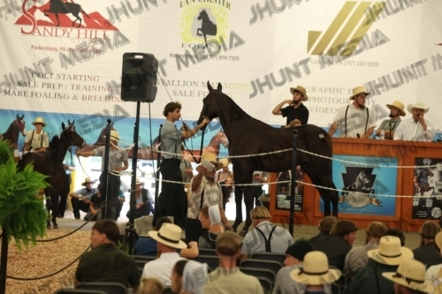 JHM_5446