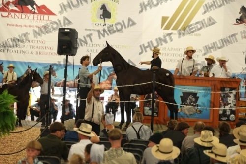 JHM_5447