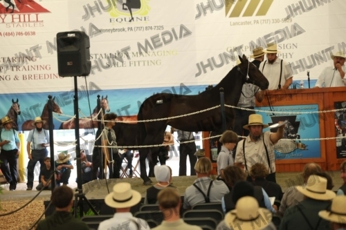 JHM_5461