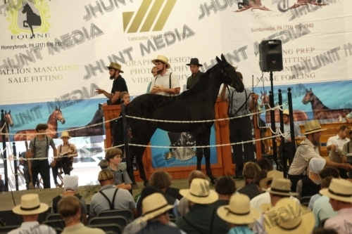 JHM_5472