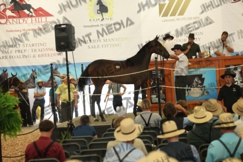 JHM_5835