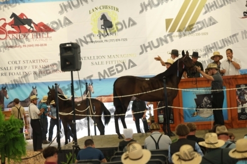 JHM_5849