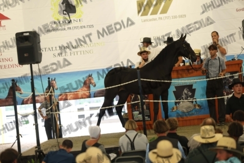 JHM_5897