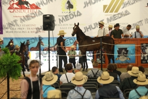 JHM_5981