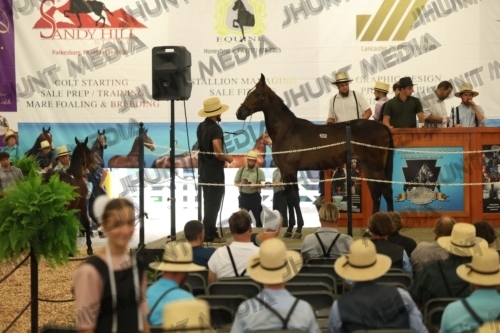 JHM_5982