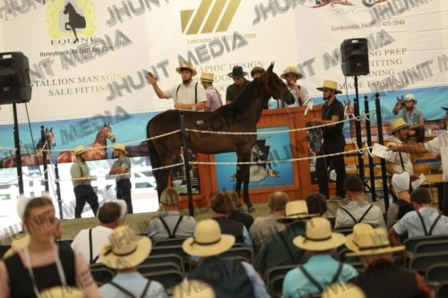 JHM_5993