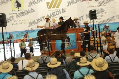 JHM_5995