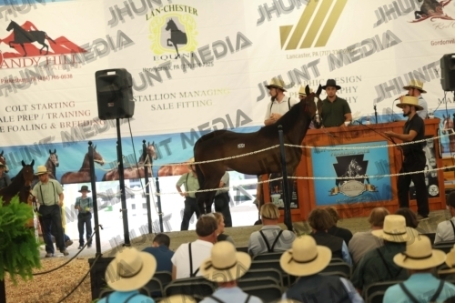 JHM_6002