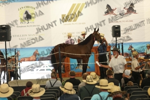 JHM_6158