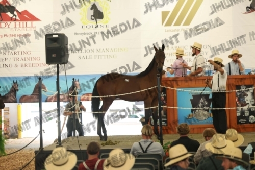 JHM_6179