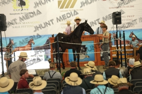 JHM_6188