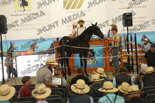 JHM_6189