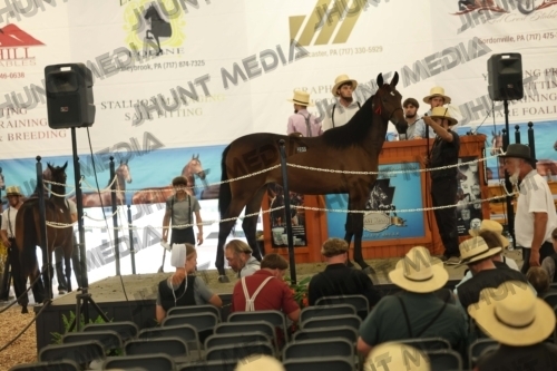 JHM_6260