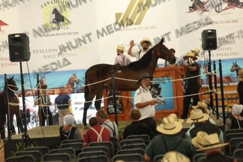 JHM_6262