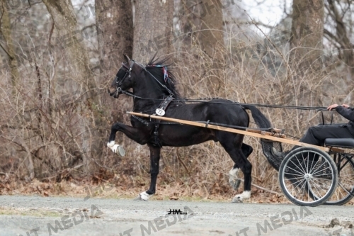 JHM-6206