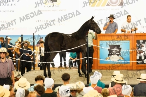 JHM-4325