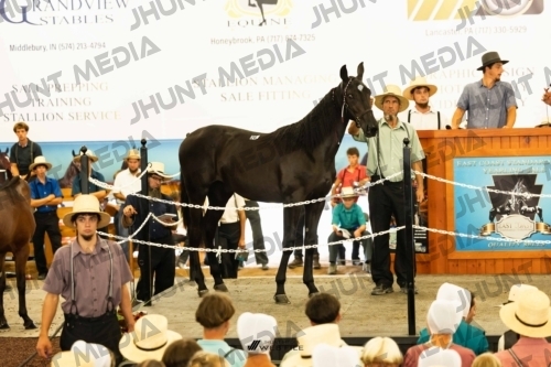 JHM-4328