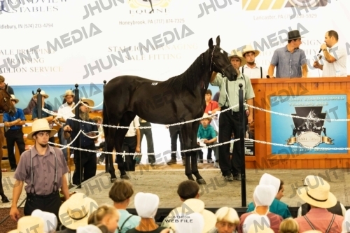 JHM-4329