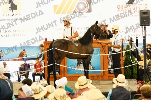 JHM-4604